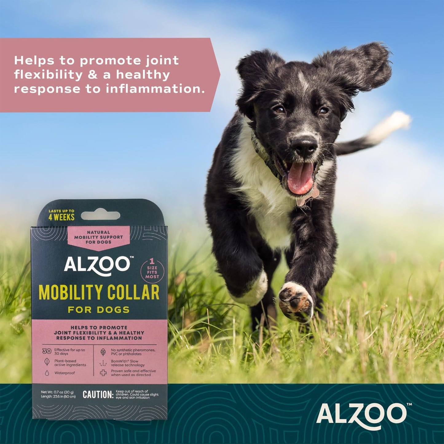 ALZOO Plant-Based Mobility Collar for Dogs