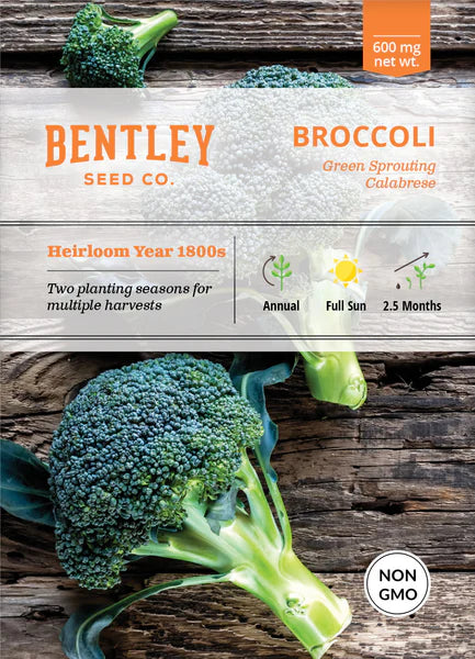 Bentley Seed Co. Broccoli