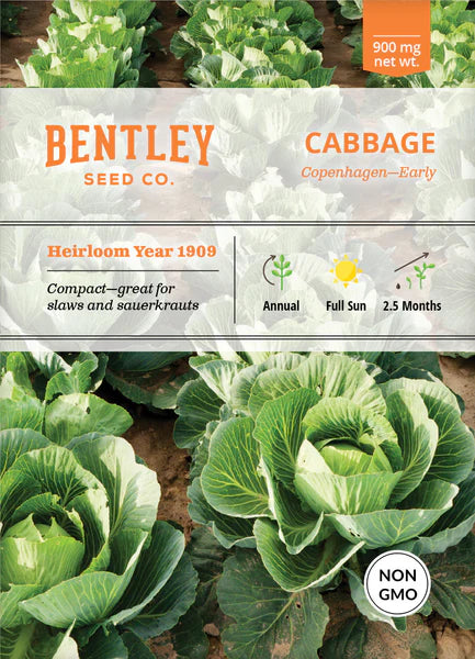 Bentley Seed Co. Cabbage Copenhagen
