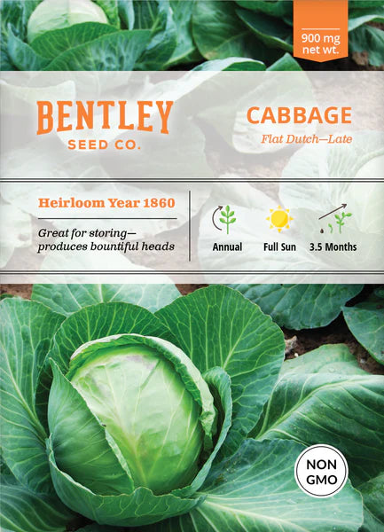 Bentley Seed Co. Cabbage Flat Dutch