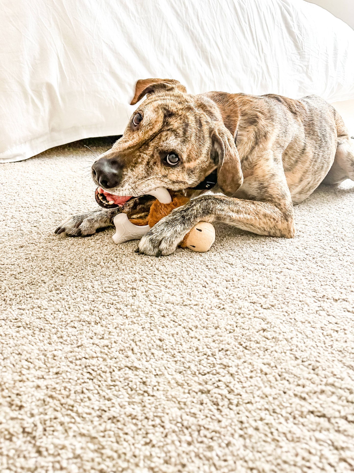 Knuckle Heads - Plush/Nylon Combo 2-in-1 Toy