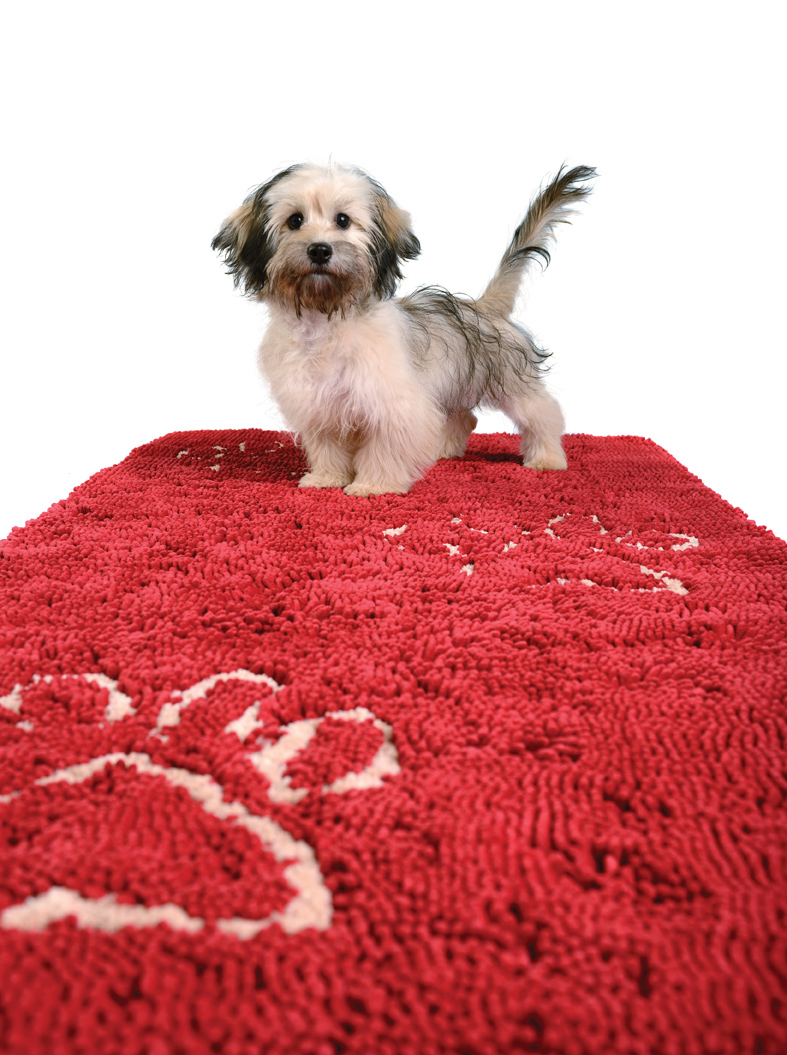 Dirty Dog Doormat Runners