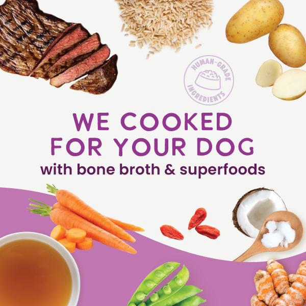 Gently Cooked Beef & Potato Recipe 9oz - Case