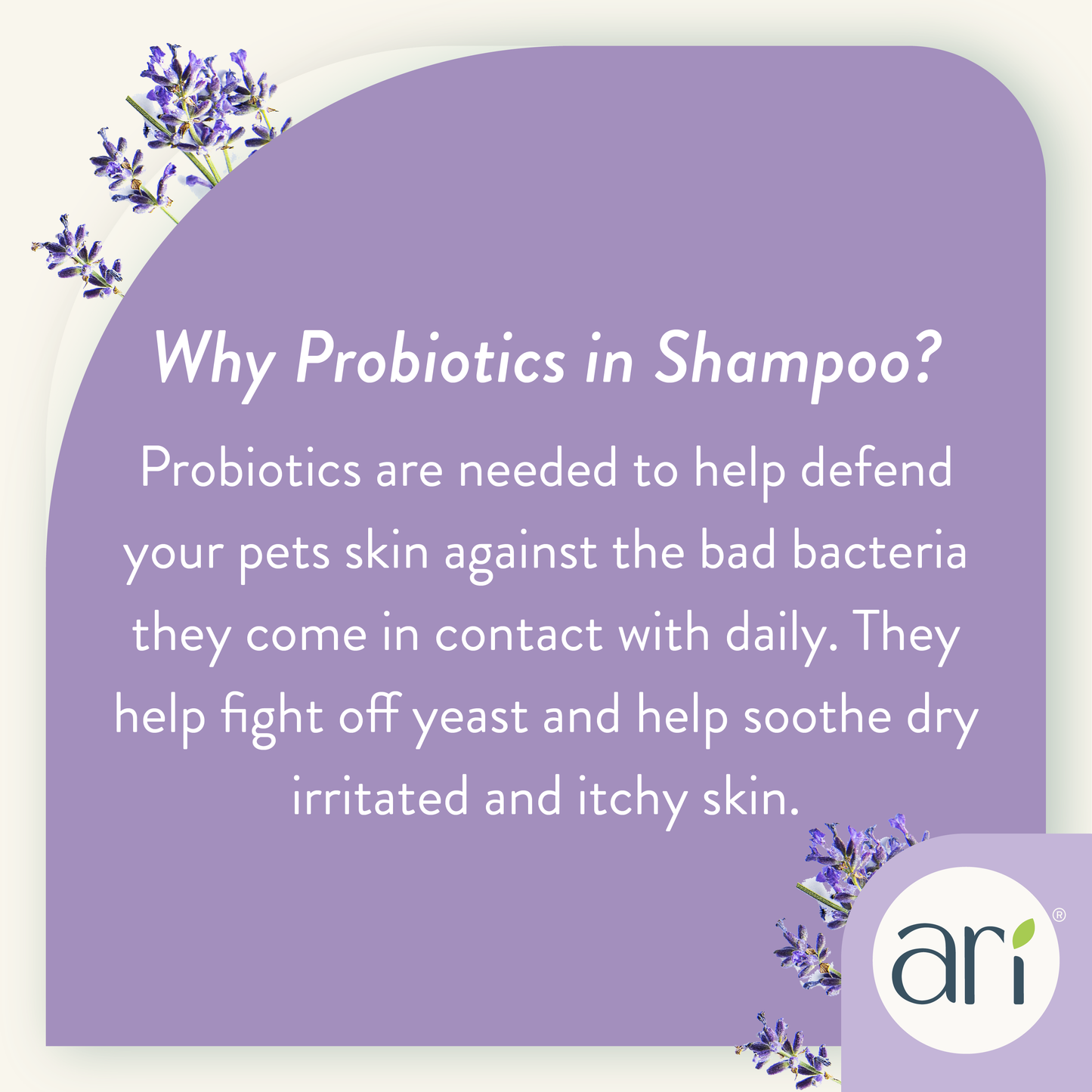 ARI Probiotic Sensitive Skin Shampoo