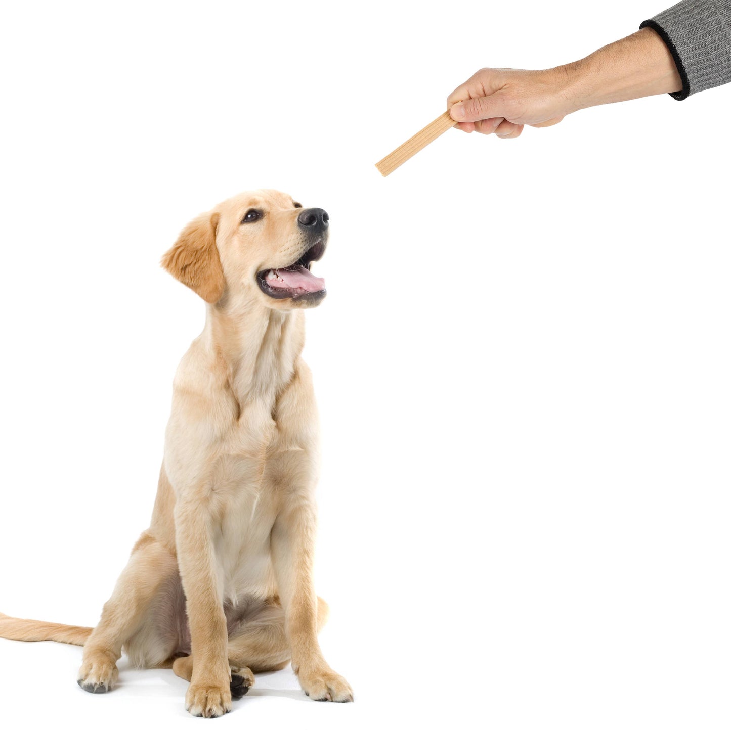 Hive Chew Sticks - Large