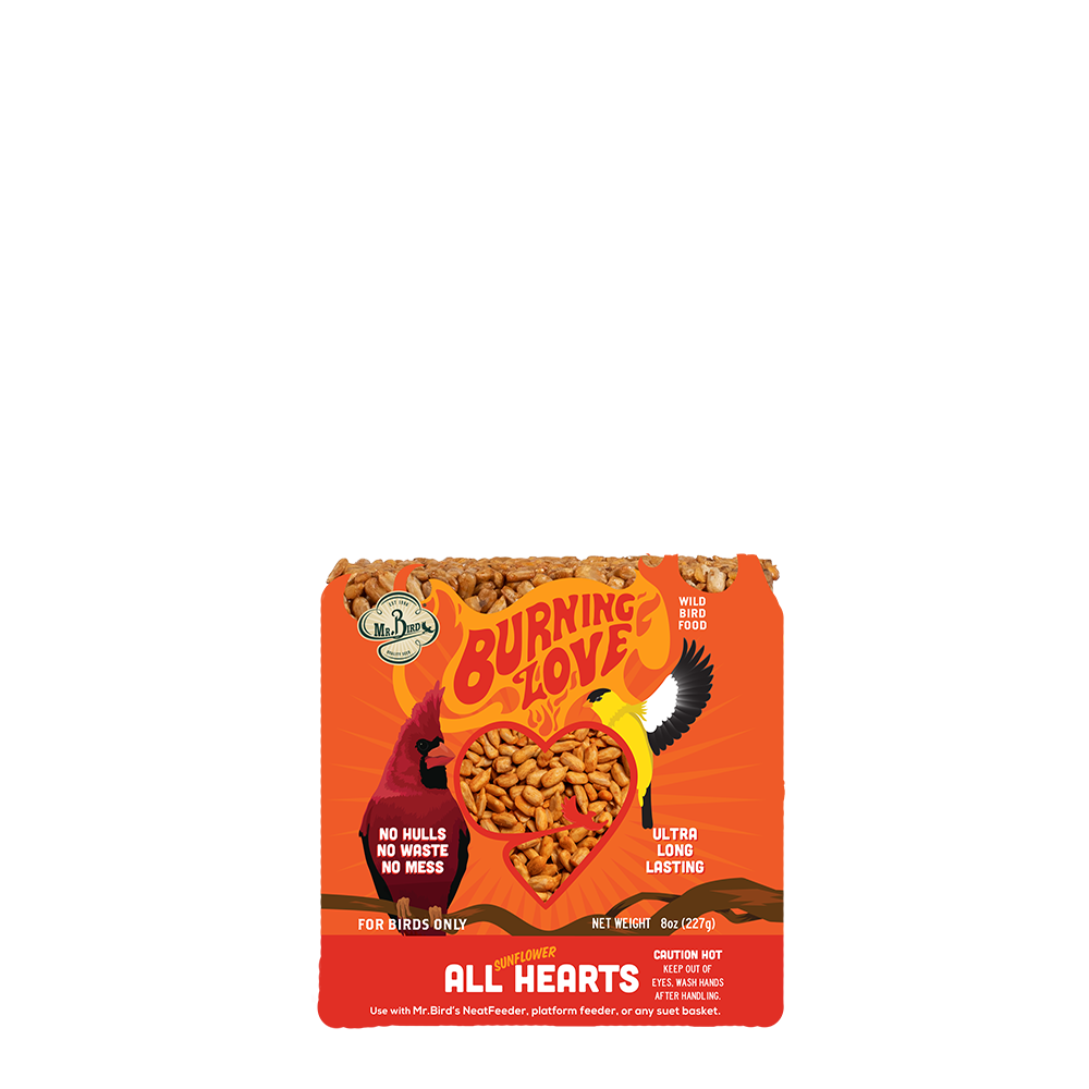 Burning Love Cake - New Item