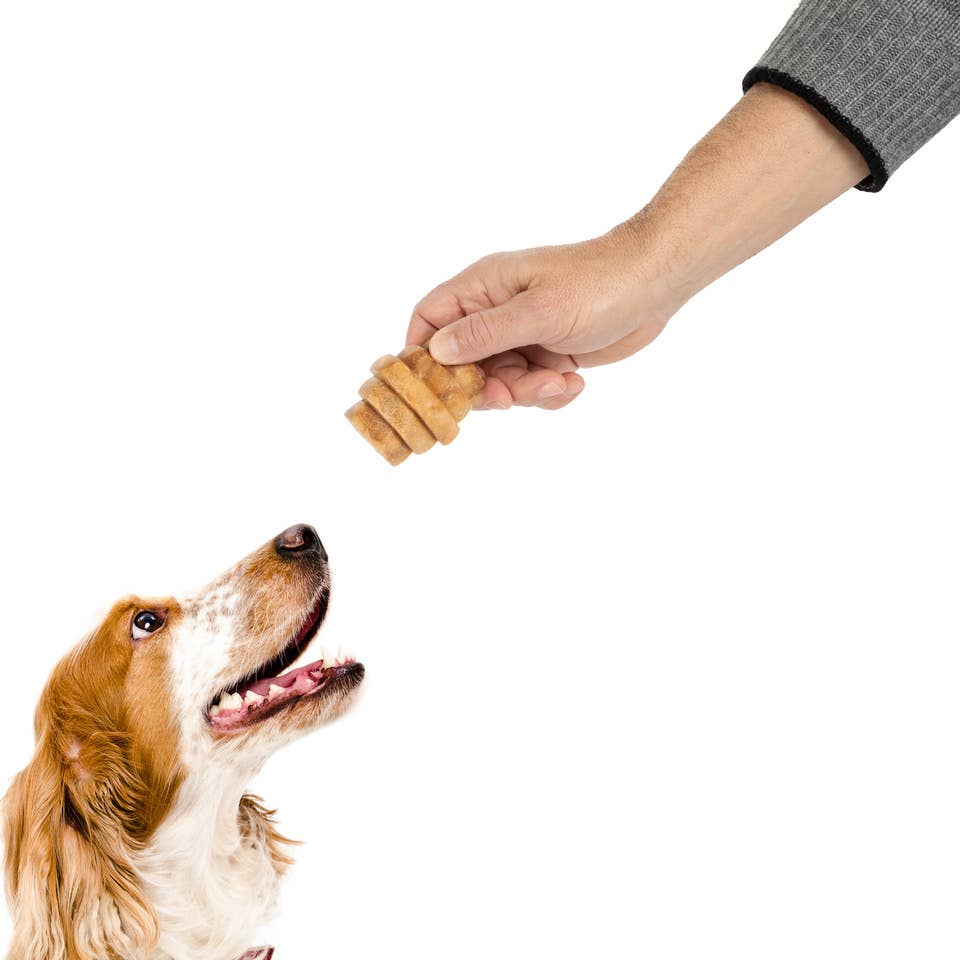 Hive Chews - Dog Treats for Medium/Large size dogs