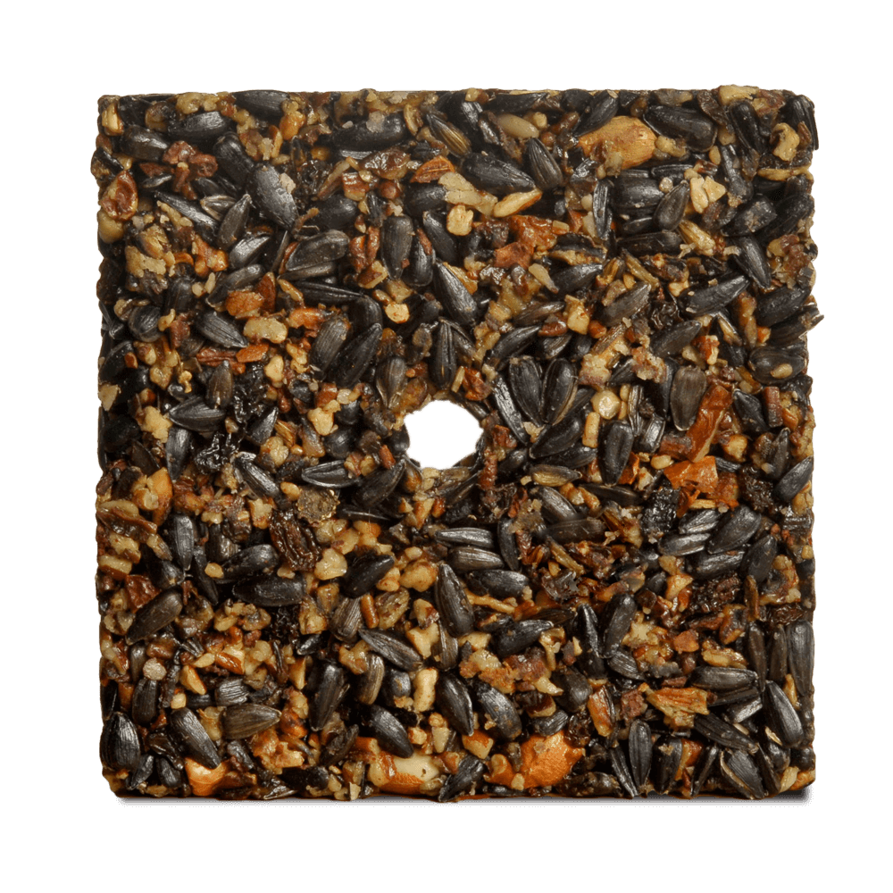 Woodpecker Feast Cake