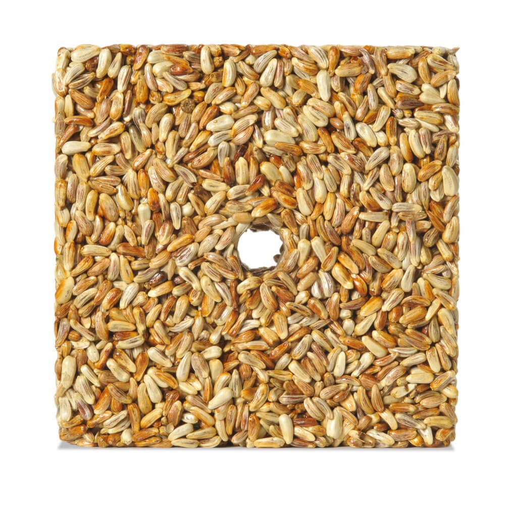 Safflower Feast