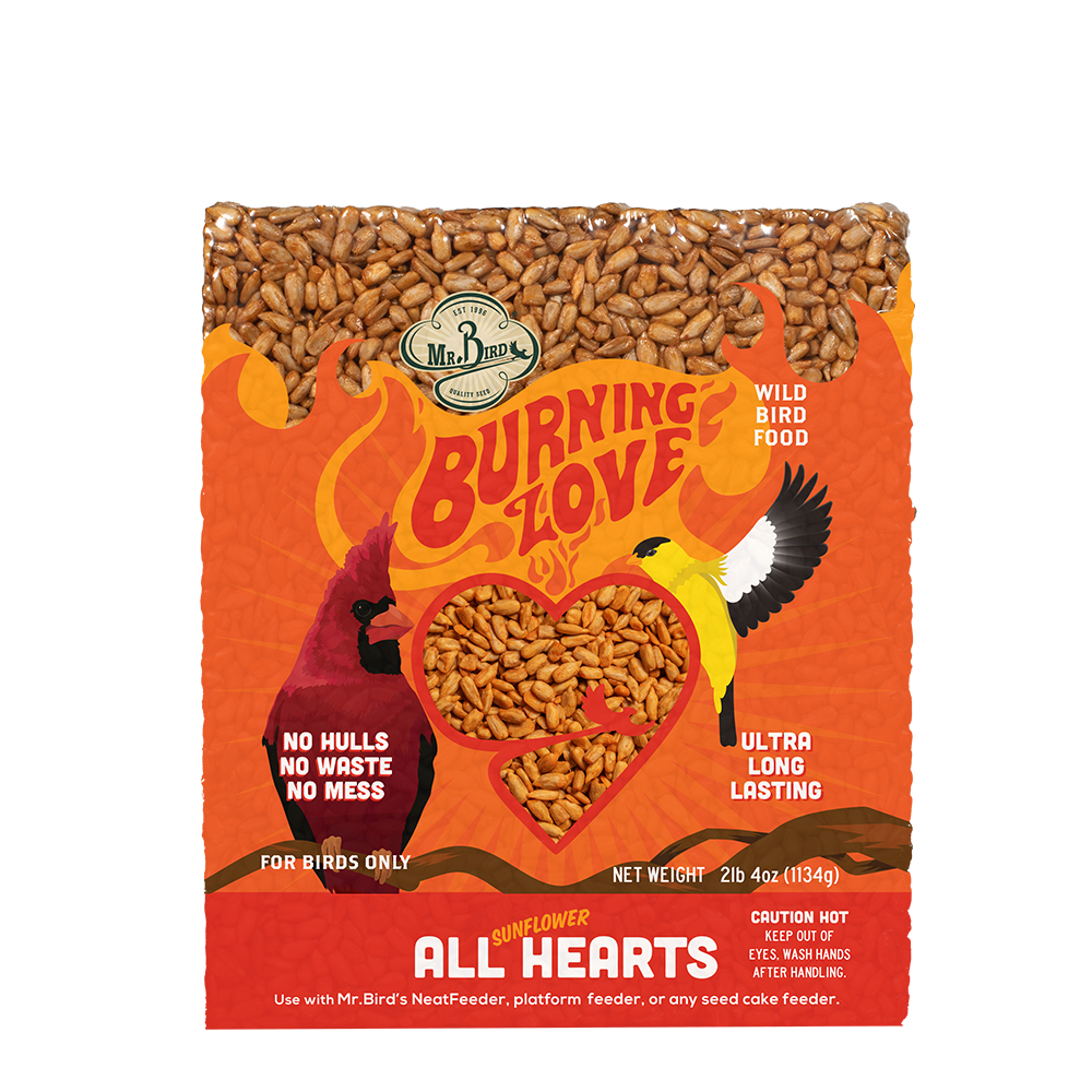 Burning Love Cake - New Item