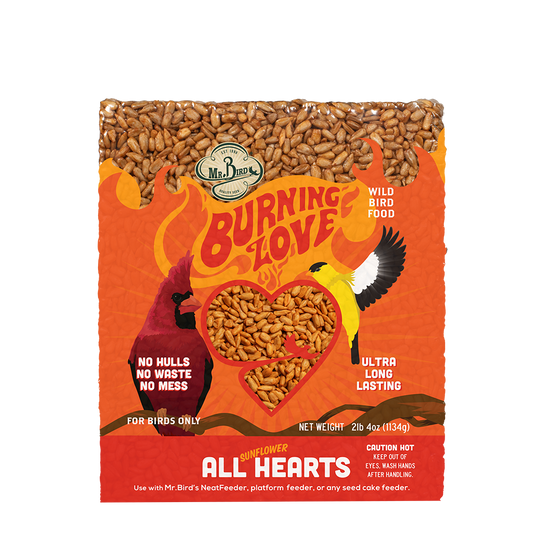 Burning Love Cake - New Item