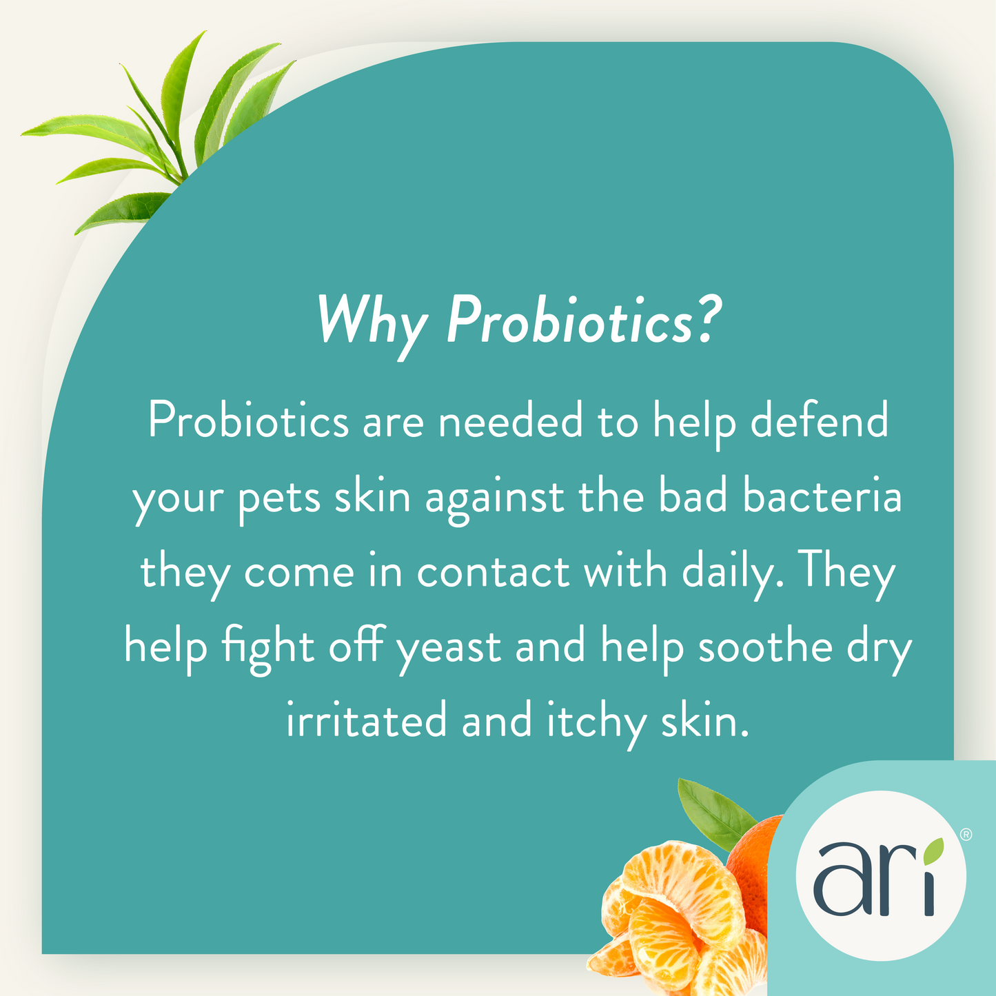 ARI Probiotic Deodorizer Spray – GREEN TEA + MANDARIN