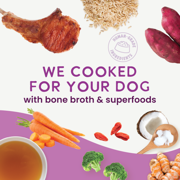 Gently Cooked Lamb & Carrot Recipe 9oz - Case