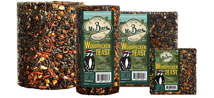 Woodpecker Feast Cake