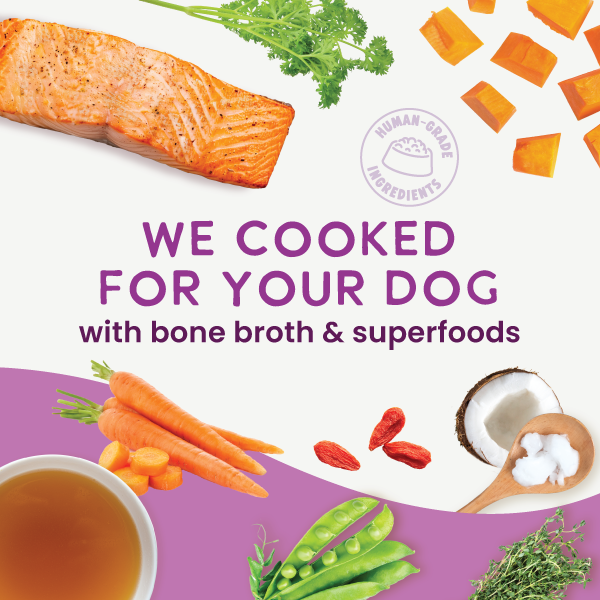 Gently Cooked Grain Free Salmon 9oz - Case