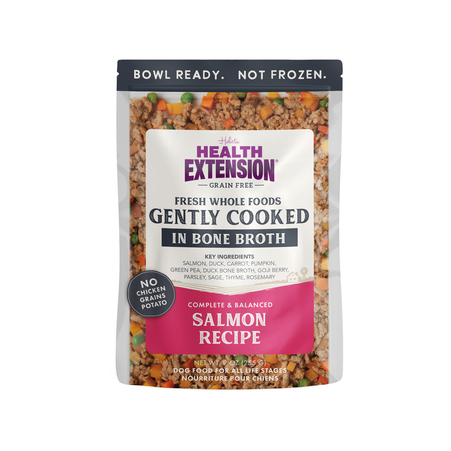 Gently Cooked Grain Free Salmon 9oz - Case