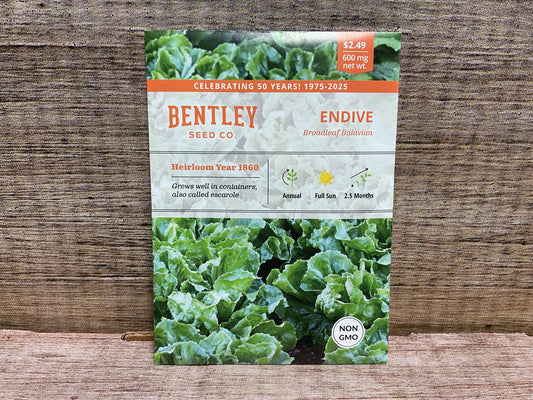 Bentley seed co. Endive broadleaf Batavian