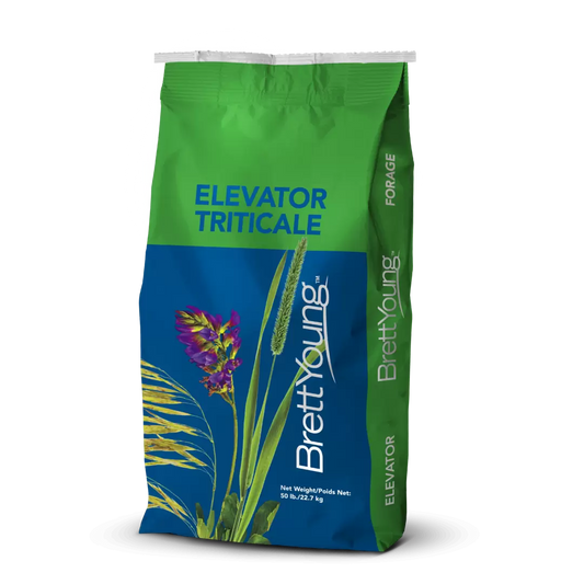 Triticale - Elevator Spring 50lb