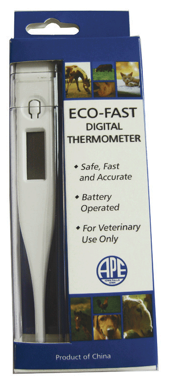 Eco-Fast Digital Thermometer