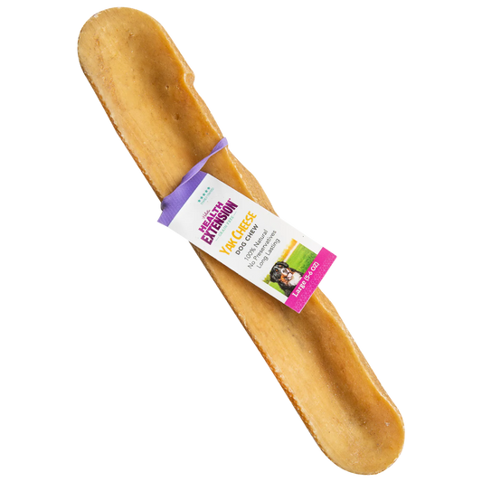 Health Extension Cheese Chew Large