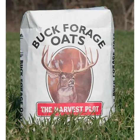 Buck Forage Oats -50lb