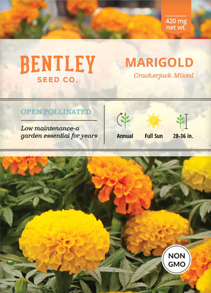 Bentley Seed Co. Marigold