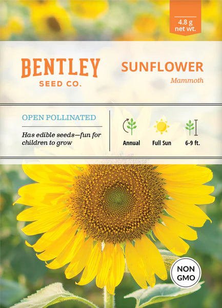 Bentley Seed Co. Sunflower-Mammoth