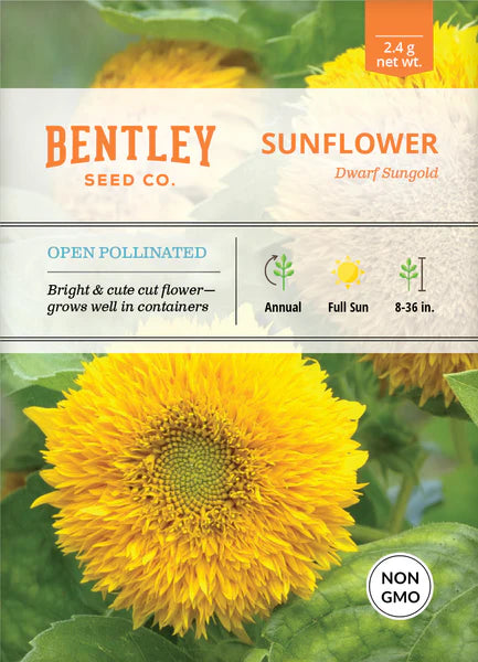 Bentley Seed Co. Sunflower Dwarf