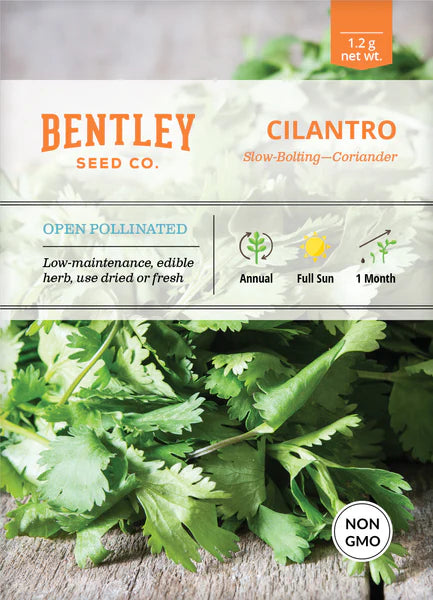 Bentley Seed Co. Cilantro