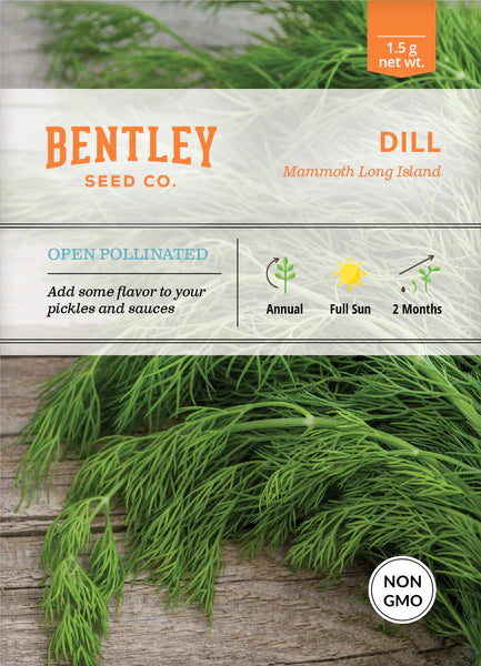 Bentley Seed Co. Mammoth Long Island Dill
