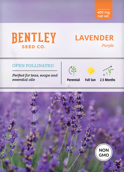 Bentley Seed Co. Lavender
