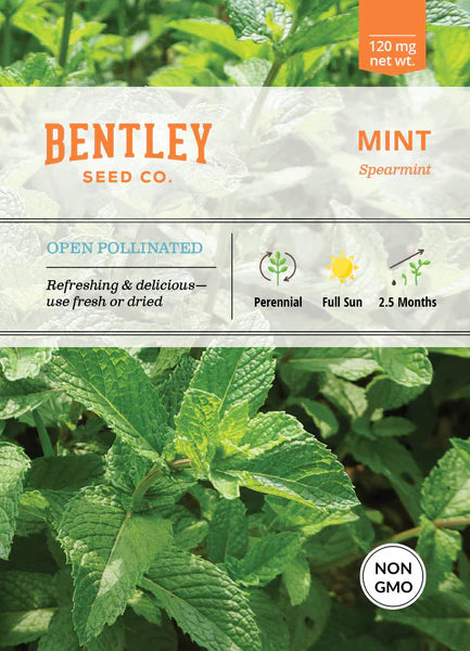 Bentley Seed Co. Spearmint