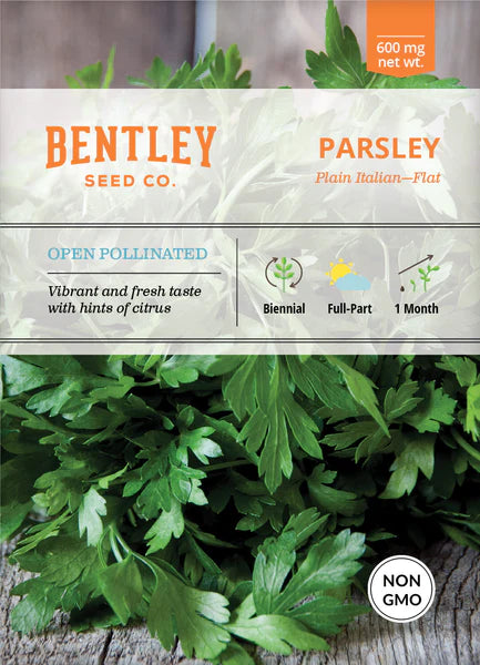 Bentley Seed Co. Plain Italian- Flat Parsley