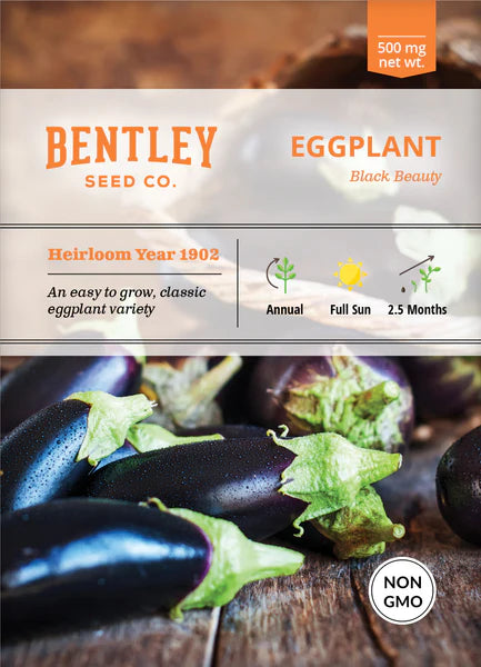 Bentley Seed Co. Eggplant Black Beauty