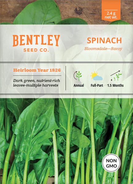 Bentley Seed Co. Spinach Bloomsdale-Savoy