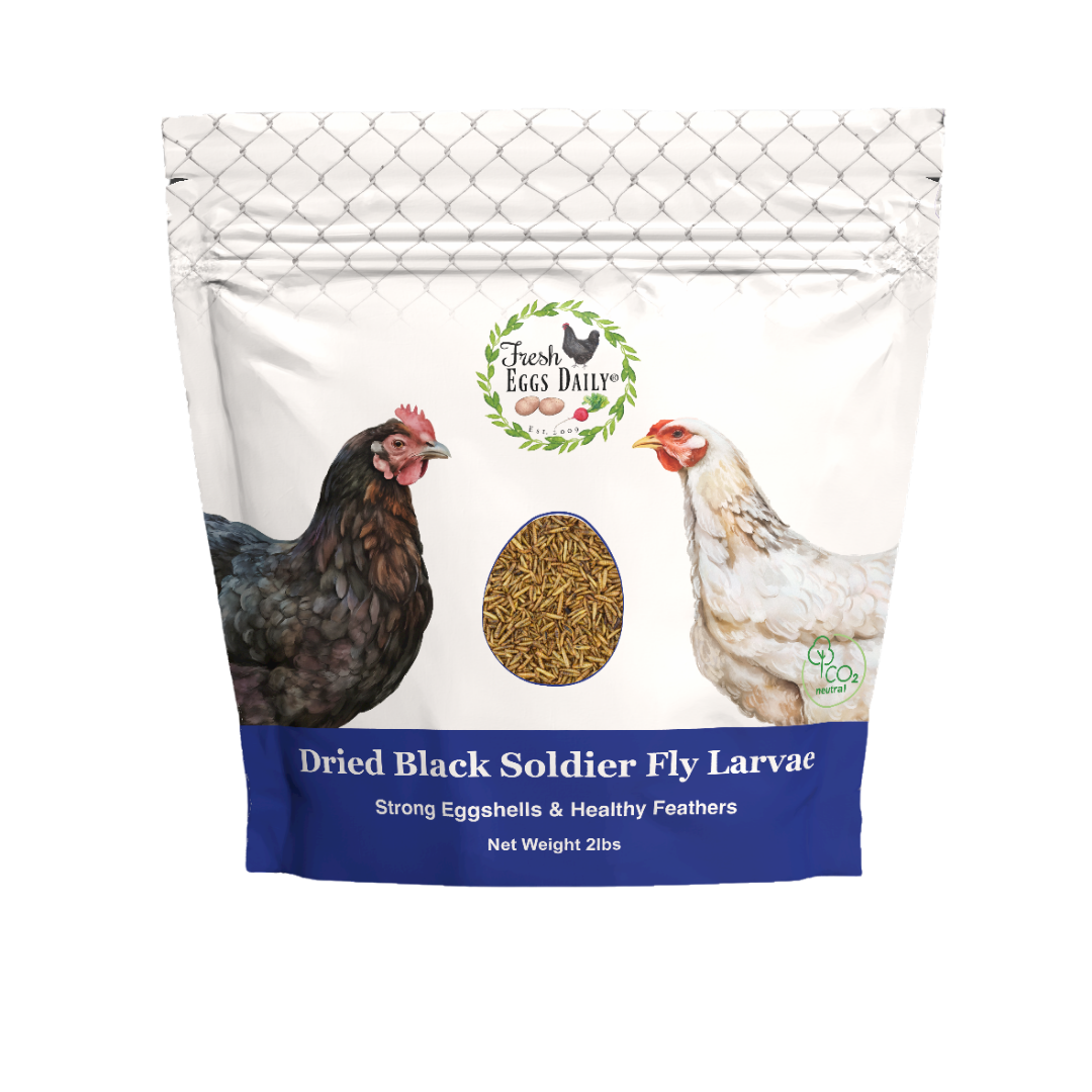 Fresh Eggs Daily Black Soldier Fly Carbon Neutral