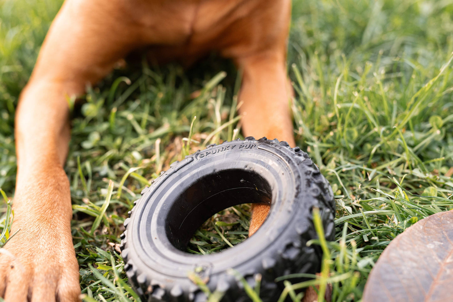 The Tire - Reclaimed Rubber Toy - MADE IN THE USA