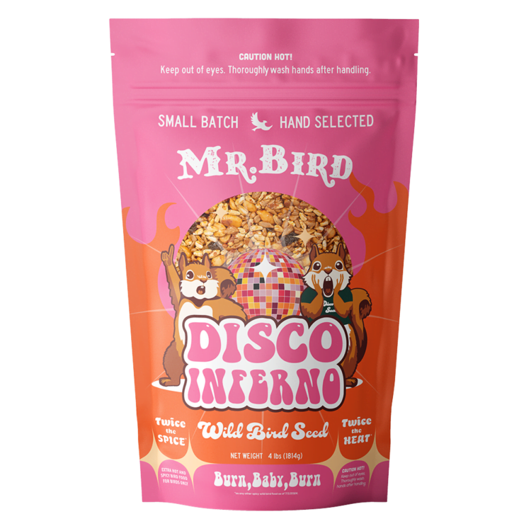 Disco Inferno Small Bagged Seed 2 lb