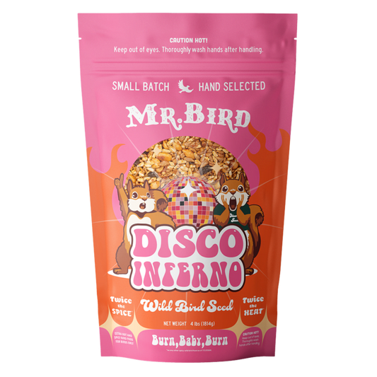 Disco Inferno Small Bagged Seed 2 lb
