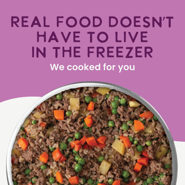 Gently Cooked Beef & Potato Recipe 9oz - Case