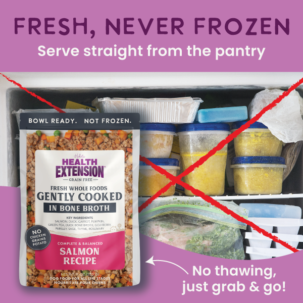 Gently Cooked Grain Free Salmon 9oz - Case