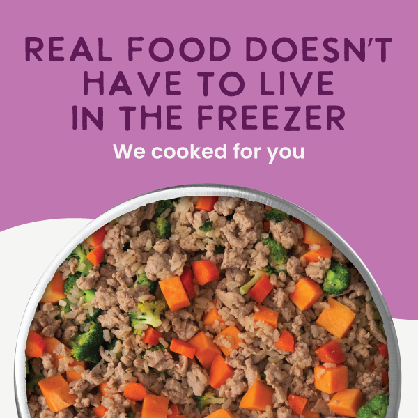 Gently Cooked Lamb & Carrot Recipe 9oz - Case
