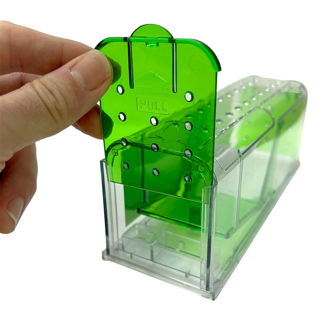 Billy-Bob Catch and Release Mouse Trap - 2 pack