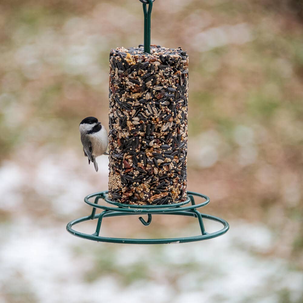 WildBird Feast Cylinder - Small