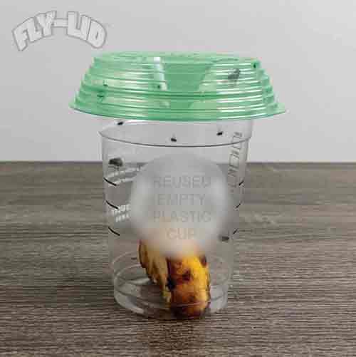 Fly-lid - 2pk