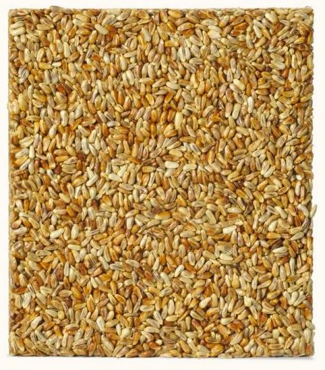 BY THE OUNCE - GOLDEN SAFFLOWER