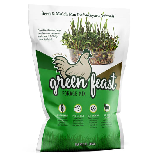 Amturf Green Feast - Forage Mmix for Chickens