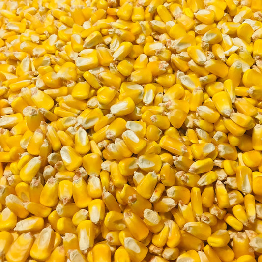 Whole Corn -50lb (House)